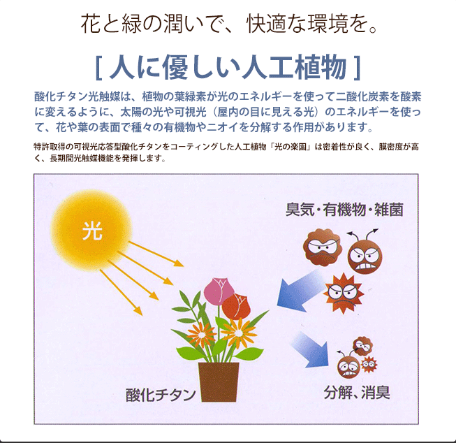 酸化チタン光触媒は、植物の葉緑素が光のエネルギーを使って二酸化炭素を酸素に変えるように、太陽の光や可視光（屋内の目に見える光）のエネルギーを使って、花や葉の表面で種々の有機物やニオイを分解する作用があります。
